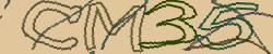 Retype the CAPTCHA code from the image