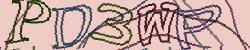 Retype the CAPTCHA code from the image