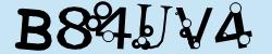 Retype the CAPTCHA code from the image