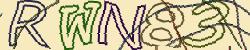 Retype the CAPTCHA code from the image