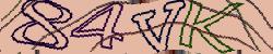 Retype the CAPTCHA code from the image