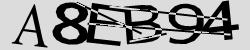 Retype the CAPTCHA code from the image