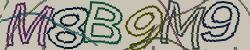 Retype the CAPTCHA code from the image