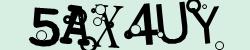 Retype the CAPTCHA code from the image