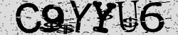 Retype the CAPTCHA code from the image