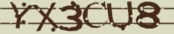 Retype the CAPTCHA code from the image