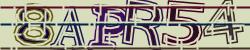 Retype the CAPTCHA code from the image