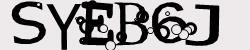 Retype the CAPTCHA code from the image