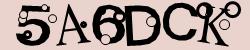 Retype the CAPTCHA code from the image