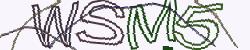 Retype the CAPTCHA code from the image
