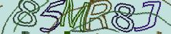 Retype the CAPTCHA code from the image