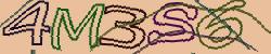 Retype the CAPTCHA code from the image