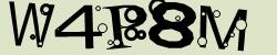 Retype the CAPTCHA code from the image