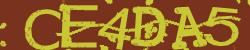Retype the CAPTCHA code from the image