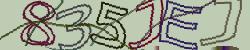 Retype the CAPTCHA code from the image