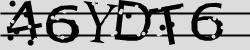 Retype the CAPTCHA code from the image