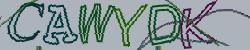 Retype the CAPTCHA code from the image