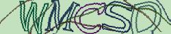 Retype the CAPTCHA code from the image