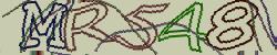 Retype the CAPTCHA code from the image