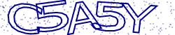 Retype the CAPTCHA code from the image
