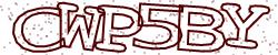 Retype the CAPTCHA code from the image