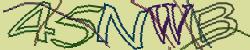 Retype the CAPTCHA code from the image