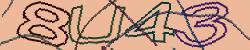 Retype the CAPTCHA code from the image