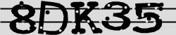 Retype the CAPTCHA code from the image