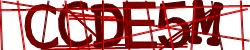 Retype the CAPTCHA code from the image