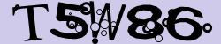 Retype the CAPTCHA code from the image