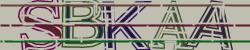 Retype the CAPTCHA code from the image