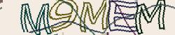 Retype the CAPTCHA code from the image