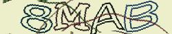 Retype the CAPTCHA code from the image