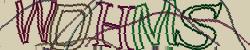 Retype the CAPTCHA code from the image