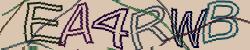 Retype the CAPTCHA code from the image