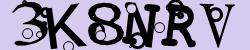 Retype the CAPTCHA code from the image
