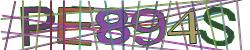 Retype the CAPTCHA code from the image