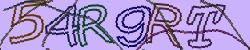 Retype the CAPTCHA code from the image