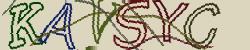 Retype the CAPTCHA code from the image