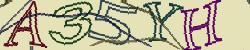 Retype the CAPTCHA code from the image