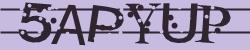 Retype the CAPTCHA code from the image
