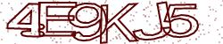 Retype the CAPTCHA code from the image