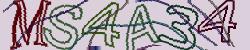 Retype the CAPTCHA code from the image