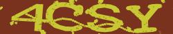 Retype the CAPTCHA code from the image