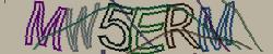 Retype the CAPTCHA code from the image