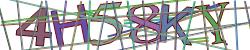 Retype the CAPTCHA code from the image