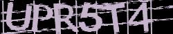 Retype the CAPTCHA code from the image
