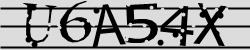 Retype the CAPTCHA code from the image