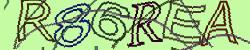Retype the CAPTCHA code from the image