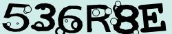 Retype the CAPTCHA code from the image